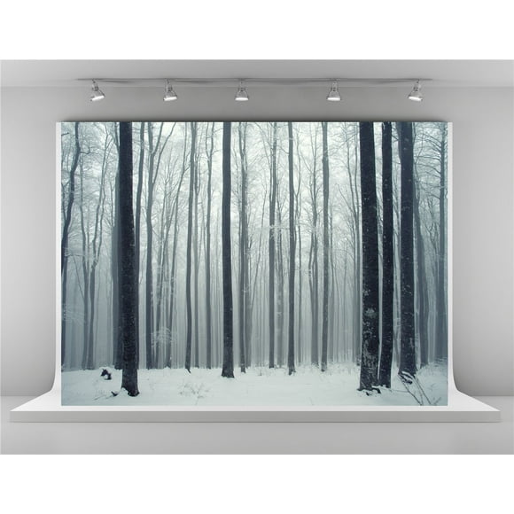 EREHome Polyester Fabric 7x5ft Winter Background for Photography Foggy Forest Photo Backdrop Frozen Snow Backgrounds Shoot