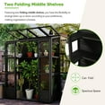 thumbnail image 4 of MAYEERTY 78'' Tall Walk-In Wooden Greenhouse with 4 Skylights and Folding Shelves, Outdoor Cold Frame for Garden, 4 of 9