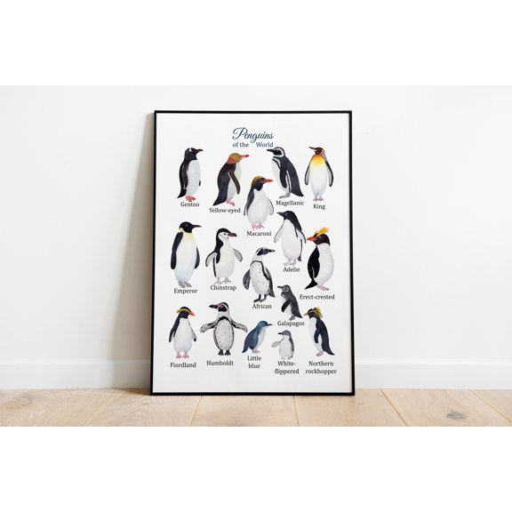 Penguins species Poster, Educational Poster, Types of Penguins printables,Painting Art, Dining Room Wall Decor Ideas, Art Deco Frameless 20x30inch