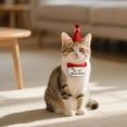 thumbnail image 2 of Pet Birthday Party Essential, Cat And Dog Birthday Hat And Scarf Bib Set, Material With Adorable Pom-Pom Top And "Happy Birthday" Embroidered Design One Size Fits Most, 2 of 6