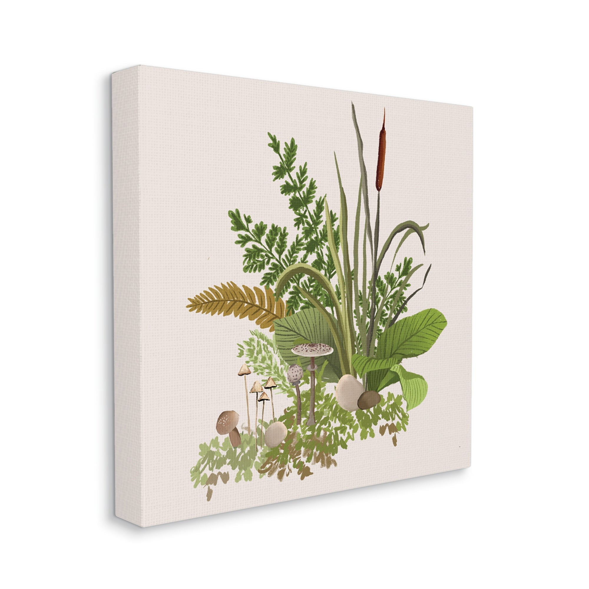 Stupell Industries Cottage Botanicals Plants Mushrooms Ferns Forest Floor Graphic Art Gallery Wrapped Canvas Print Wall Art, Design by House of Rose