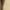 Beige, variant on Xixinqiwan Women's Long Sleeve Shirts Color Block Tops Casual Crew Neck T Shirts Loose Fit Tunic Blouse