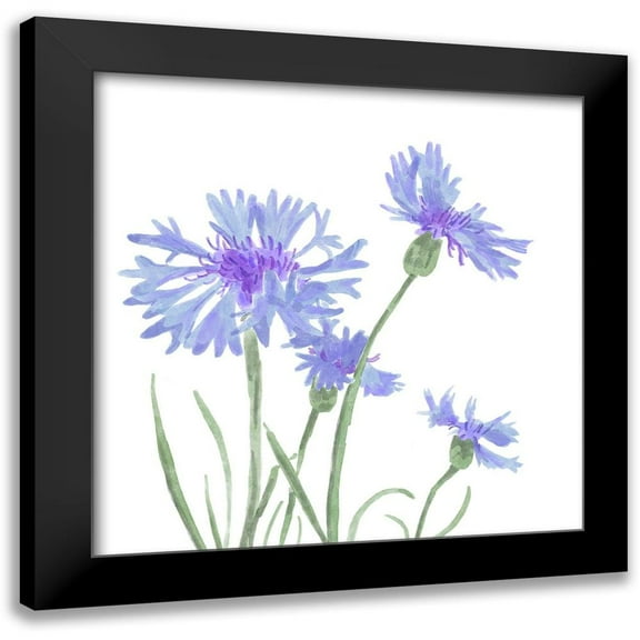 Bannarot 12x12 Black Modern Framed Museum Art Print Titled - Wildflower Group IV