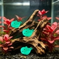 thumbnail image 6 of Tuvgenk Luminous Mini Seal Aquarium Statue, Glow Fish Tank Ornament Night Light, Cute Seal Figurine for Betta Shrimp Tank, Underwater Glow Decor, 6 of 6