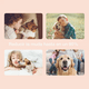 thumbnail image 4 of Cepillo Deslanador  Belug MASCOTAS Rosa claro, 4 of 4