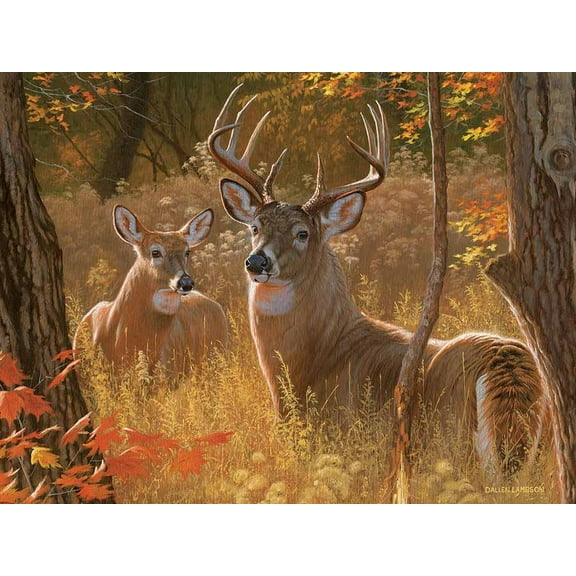 Secret Rendezvous (deer)