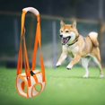 thumbnail image 3 of Dog Lifting Harness Rear Legs Sling Front Back Leg Support Harness Strap S, 3 of 8
