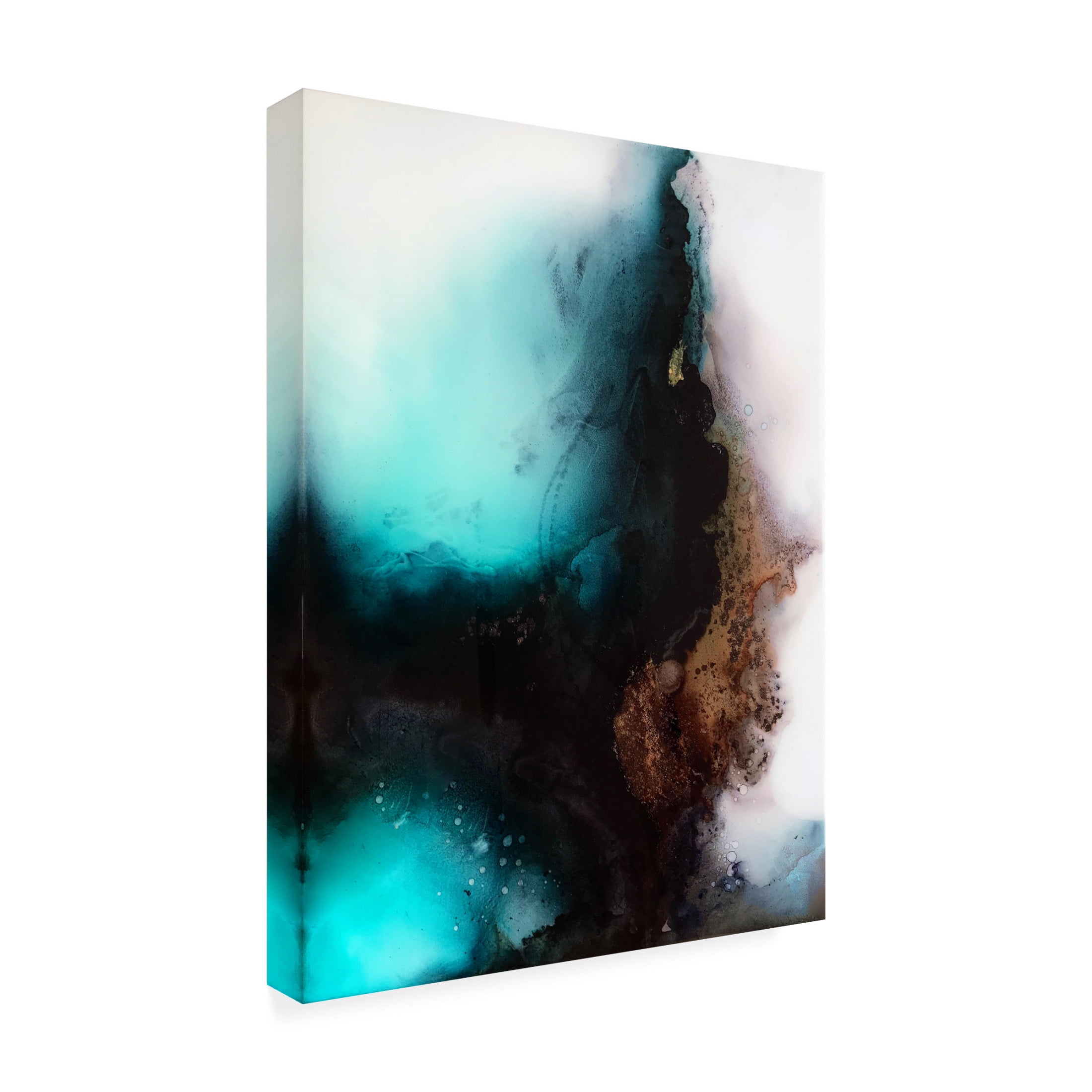Trademark Fine Art Alyson Storms Fortune Canvas Wall Art