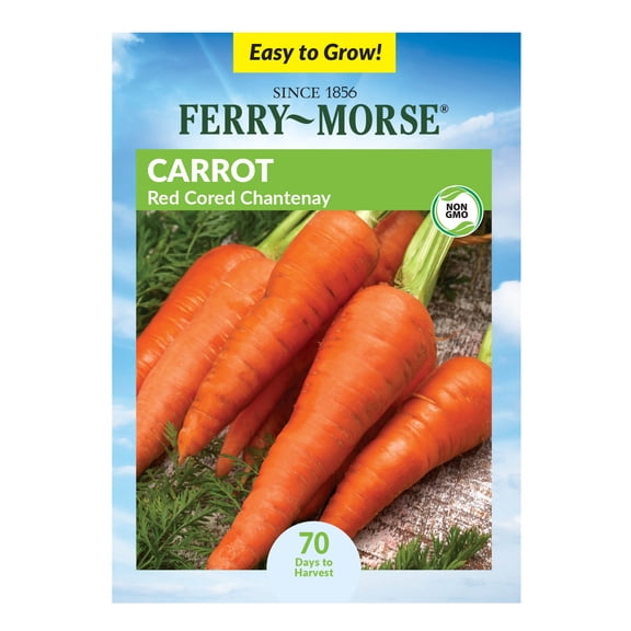 Ferry-Morse 1.35G Carrot Red Cored Chantenay Annual Vegetable Seeds, Full Sun