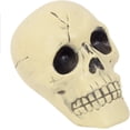thumbnail image 2 of Plastic Skull, 2 of 4