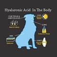 thumbnail image 3 of Hyalogic Dog Joint Supplement, Canine Joint Support Hyalogic Hyaluronic Acid Joint Supplement for Dogs Ã¢Â€Â“w/ Glucosamine MSM Supplement 30-60 Day Supply, HA, Cartilage Suppleme, 3 of 3