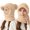 Khaki, variant on Daznico Plush Hooded Balaclava Hat with Brim Detachable Knitted Face Cover Lined Thermal Neck Warmer Winter Accessories for Outdoor Activities in Cold Weather