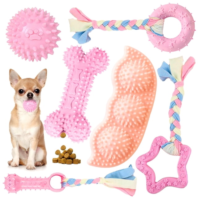 Chew Toys Petcare, paquete de 6 unidades, para perrito yorkie en proceso de dentición