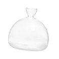 thumbnail image 2 of Florero con brotes de semillas de aguacate, de de semillas de vidrio, florero de vidrio transparente para accesorios de escritorio, 2 of 8