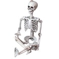 thumbnail image 2 of Halloween skull bones Posable Human Skeleton Skull Bones Body Halloween Decoration Party Prop, 2 of 9