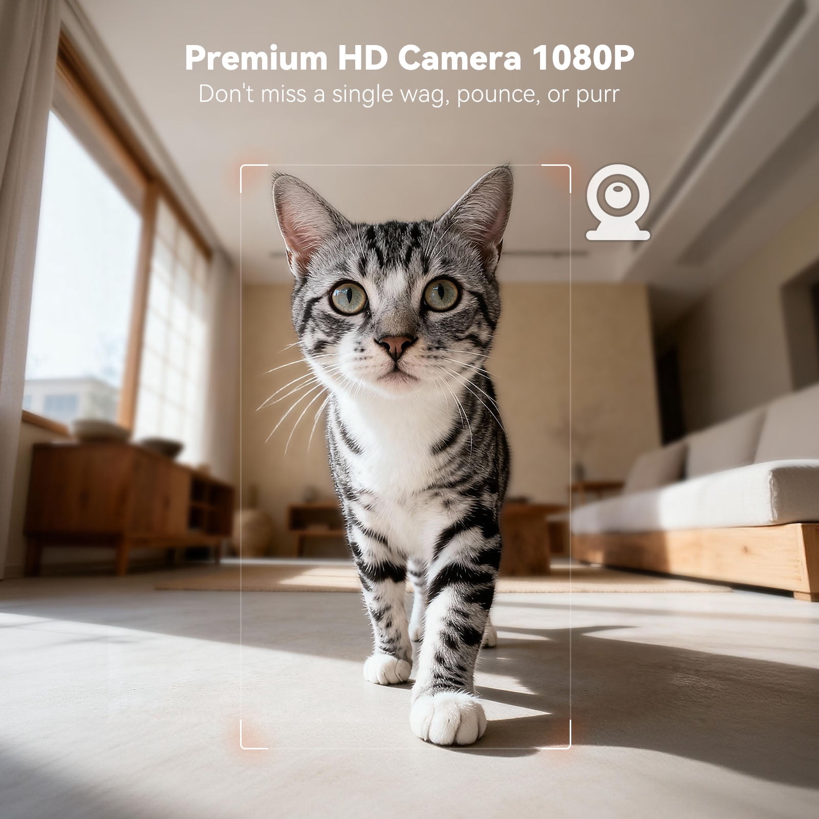 WOPET Automatic Cat Feeder with 1080P Camera 6L WiFi for Two Pets