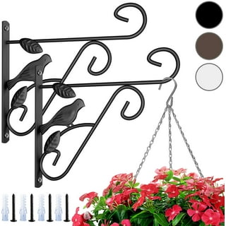 Terry 2 Pack - Capacity 37.5lbs - Cast Iron Wall Plant Hanger