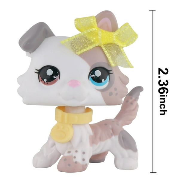 Collie DE tienda de mascotas, helado con diferentes ojos, marrón y azul, rosa, personalizado con Mini Accesorios