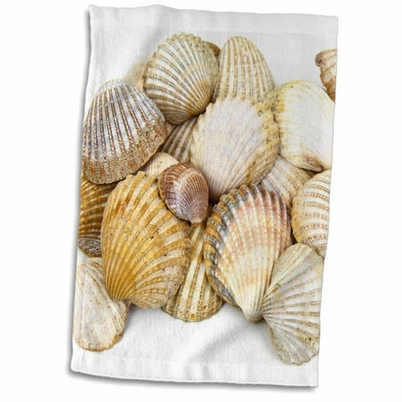 3dRose Sea Shells by the Sea Shore - Summer - Beach Theme - Towel, 15 by 22-inch