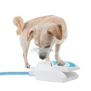 All For Paws Chill-Out Outdoor Step-On Dog Water Fountain Sprinkler with Connector & 57 Hose (Upgraded)