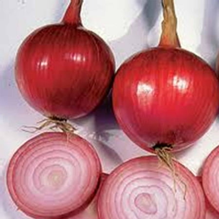 

Southport Red Globe (Long Day) - Amaryllidaceae Allium cepa - 250mg Seeds for Planting Vegetable Garden Bulb with Upright Greenery Open Pollinated Heirloom Non GMO