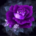 thumbnail image 1 of Diamante bordado rosa flores redondo DIY diamante pintura punto de cruz FLhrweasw Nuevo, 1 of 6