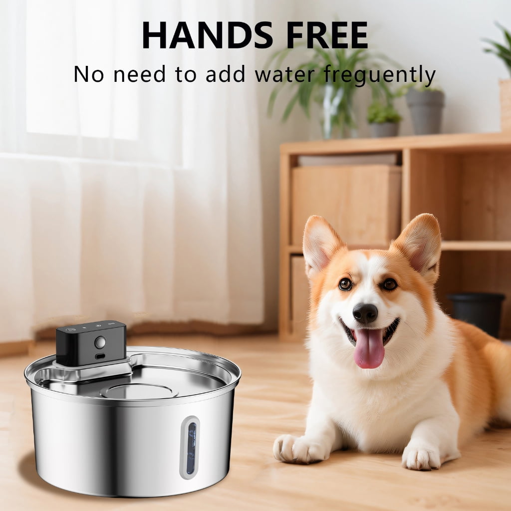 Motion Sensors Pet Fountains Intelligent Cats Water Fountains Motion Pet Accessories