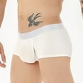thumbnail image 6 of Sngxgn Men’s Support Boxer Briefs Cooling Underwear Regular Long-leg and Trunk(White,XL), 6 of 8