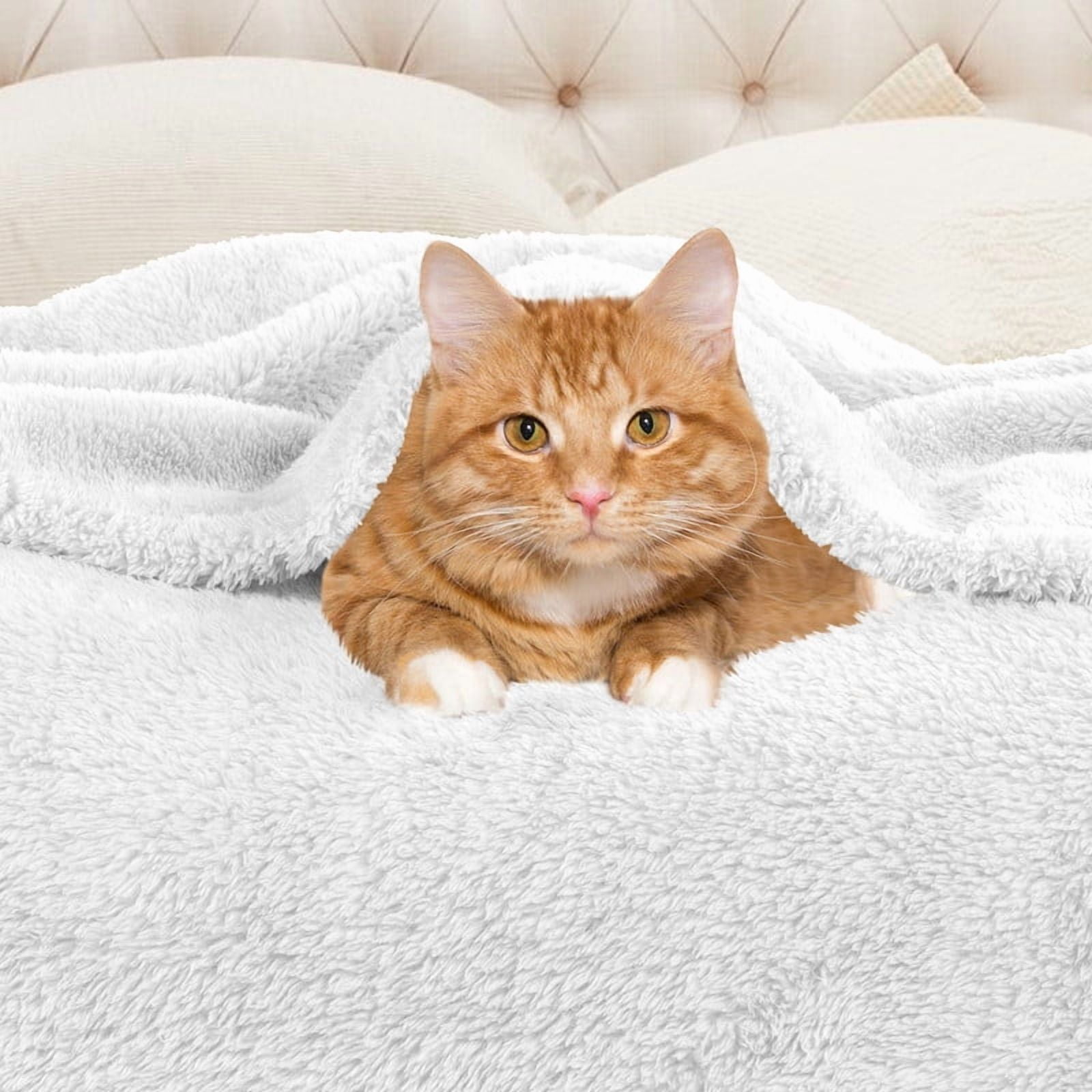 Superior Super Soft Plush Fleece Blanket 90" x 106", Bed & Couch Blankets, King, White