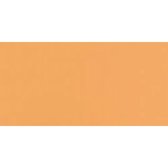 Bazzill Card Shoppe Heavyweight Cardstock 12"X12"-Citrus Slice