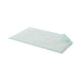 thumbnail image 4 of Underpad Prevail® 23 X 36 Inch Disposable Fluff Light Absorbency, 4 of 7