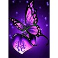 thumbnail image 1 of Cuadros Decorativos (DF3864) 5D DIY taladro completo diamante pintura mariposa bordado mosaico Kit (01) 20X30cm Tmvgtek embutido en tela, 1 of 1