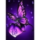 thumbnail image 1 of Cuadros Decorativos (DF3864) 5D DIY taladro completo diamante pintura mariposa bordado mosaico Kit (01) 20X30cm Likrtyny embutido en tela, 1 of 1
