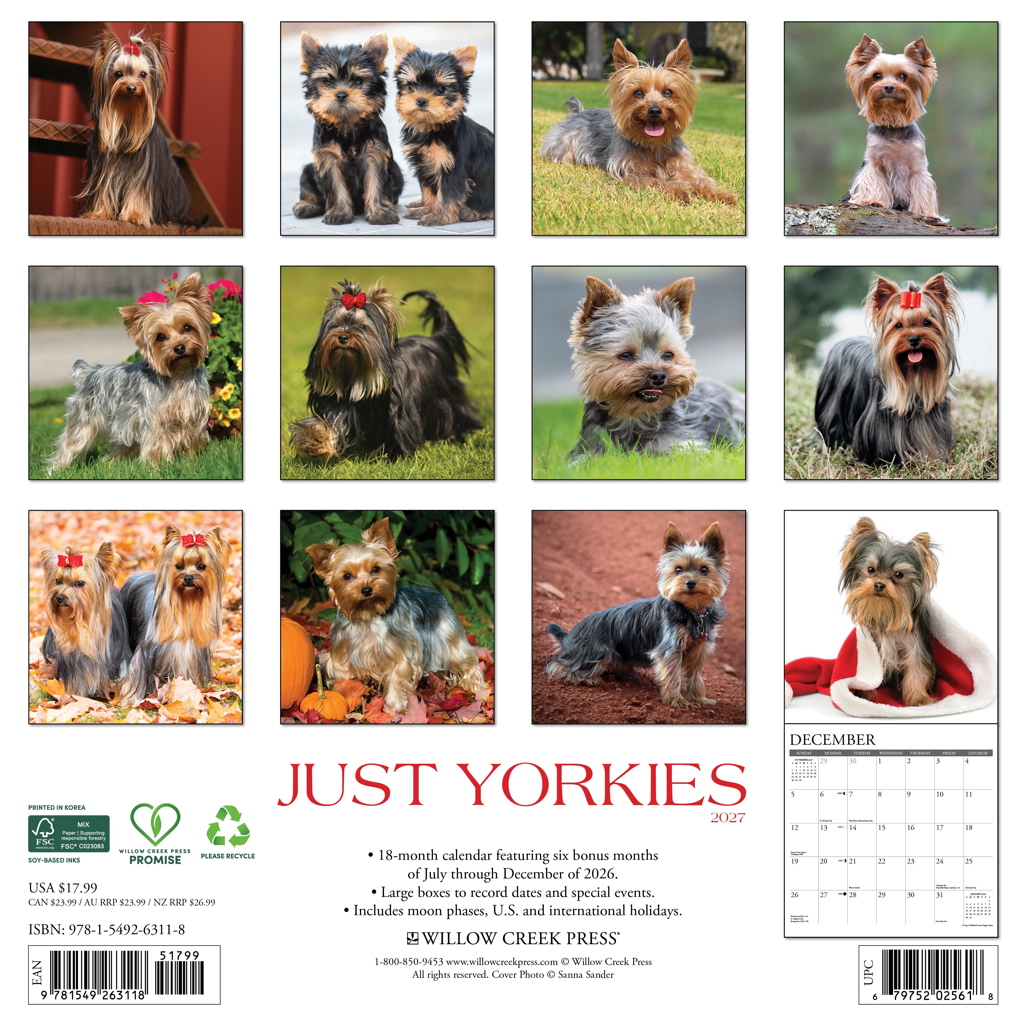 Willow Creek Press, Yorkies 2027 Wall Calendar