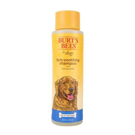 UPC: 0742797772189 | Burt s Bees Natural Pet Care Itch Soothing Shampoo with Honeysuckle for Dogs  16 oz.