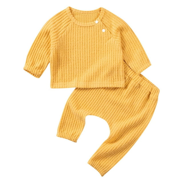 Baby Girl Clothes Baby Boy Clothes Solid Round Neck Hoodie Cute Teddy Bear Embroidered Two Piece Fall Set