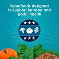 thumbnail image 5 of Kaytee Forti-Diet Pro Health Nourish+Protect Hamster and Gerbil Food Flavor Medley 3 pounds, 5 of 14