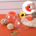 thumbnail image 5 of Pelota de ejercicio para hámster, pelota de ejercicio para hámster, pelota de fitness para hámster, mini pelota para correr de 11 cm para mascotas pequeñas (naranja), 5 of 5