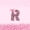 Black Pink R, variant on Castle Fairy Pink Leopard Bow Letter R Full Size Comforter Sets 3 Pieces for Girls,Kawaii Ribbon Bow Tie Bedding Sets,Pink Reversible