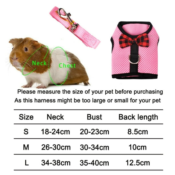 Guinea pig leash walmart cheap