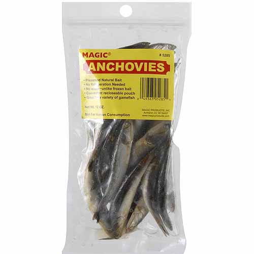 Tackle House Contacto Alimentar Shallow Más 128mm Flotante 21gr P4 Anchovy
