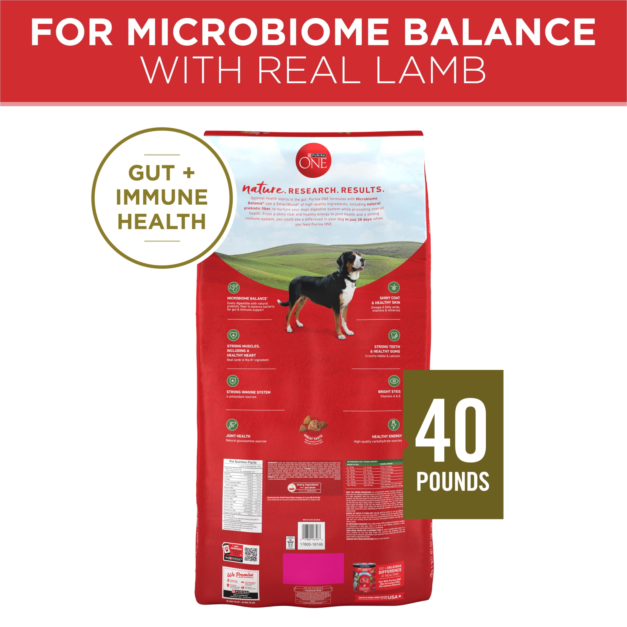 Purina ONE Plus Dry Dog Food for Adult Dogs, Real Protein Rich Natural Lamb & Rice Formula, 40lb Bag