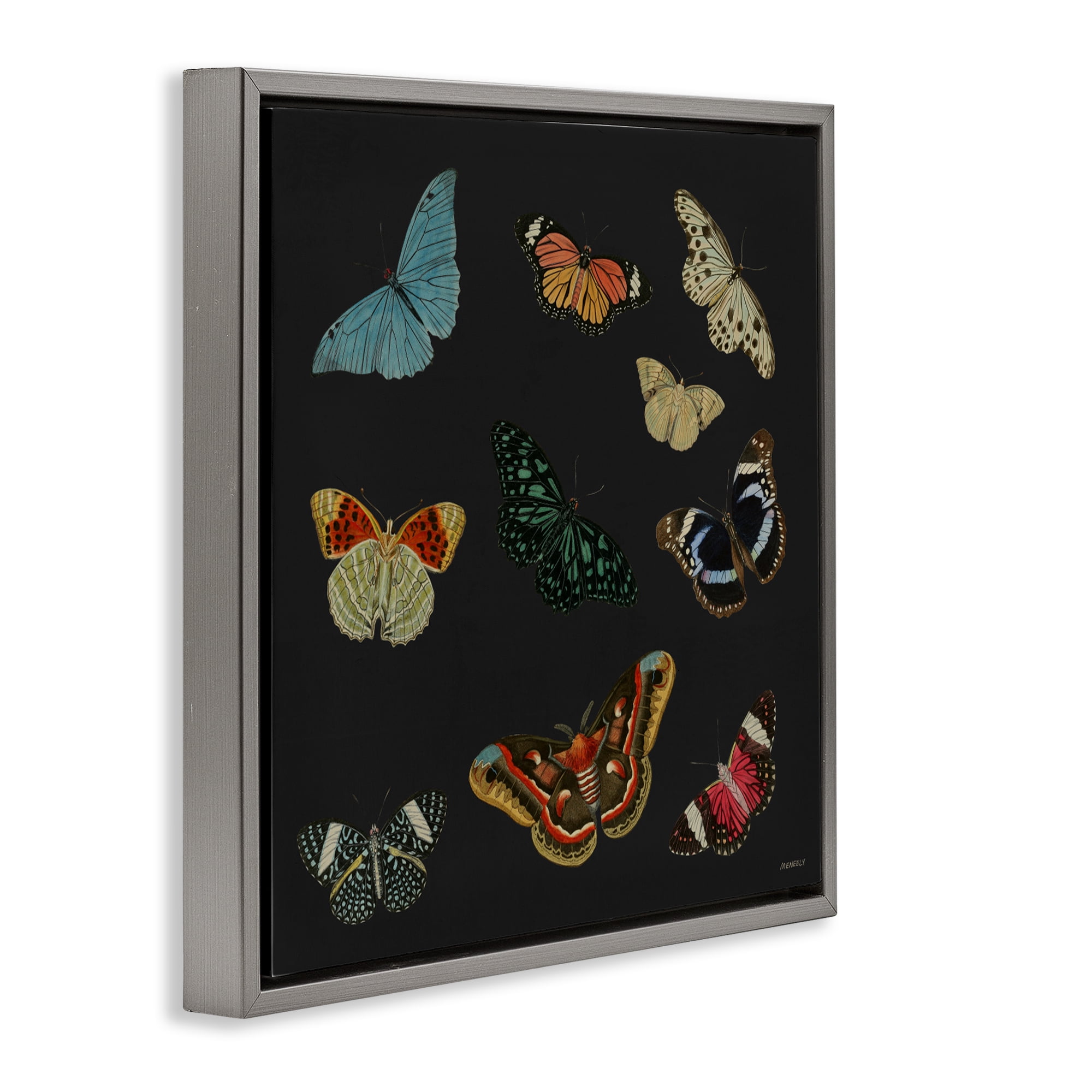 Stupell Industries Insects Group on Black Gray Framed Floater Canvas Wall Art, design by Dan Meneely