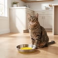 thumbnail image 3 of Vibrant Life Silicone and Stainless Steel Lick Mat Cat Saucer, 3 of 8