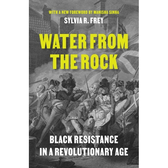 Water from the Rock: Black Resistance in a Revolutionary Age, (Paperback)