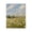 Wildflower Meadow Blue Sky, variant on Stupell Industries Transitional Forest Path in Morning Black Framed Giclee Art, 11 x 14, by Franklyn Gregory
