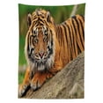 thumbnail image 3 of Ambesonne Tiger Tablecloth Rectangular Table Cover, Tiger Crouching on Rock, 60"x84", Multicolor, 3 of 4