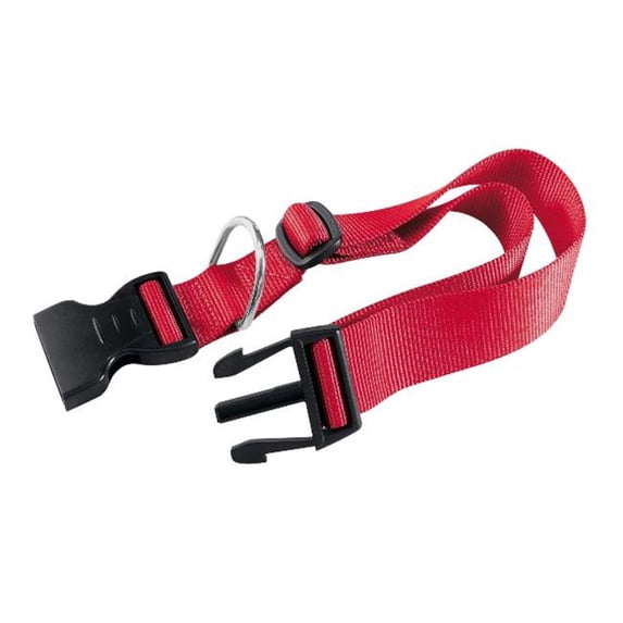 PACC Pets 75260922 Club C20 & 56 0. 75 inch Dog Collar, Red