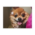 thumbnail image 2 of Funny Corgi Bathee Canvas Wall Art for Home Decor Ready-to-Hang, 2 of 18