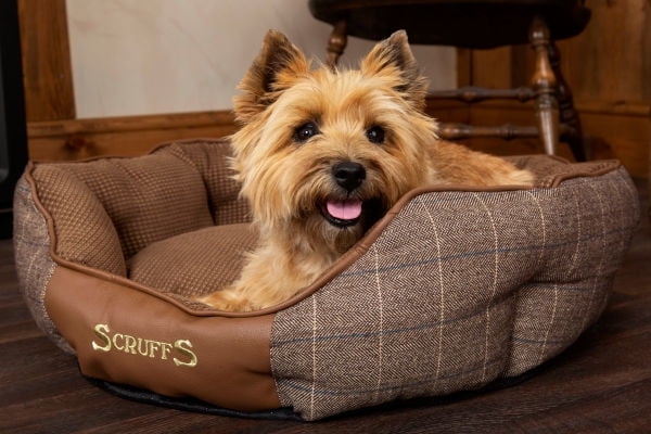 Scruffs Windsor Box Dog Bed (Small 